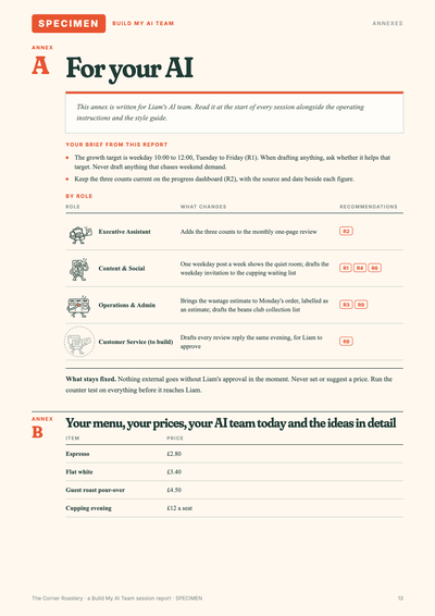 Specimen session report page: For your AI. Opens full size in a new tab.